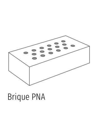 Brique PNA 220x50x105mm