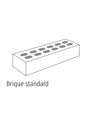 Brique Standard 220x50x90mm