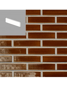 Briques vernissées / émaillées satinées (9 couleurs au choix - boîte de 0,40 m²)
